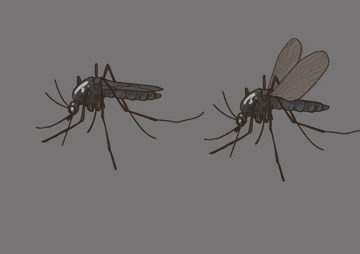 KillingMosquitoe game artwork