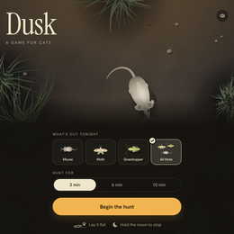 Dusk game artwork
