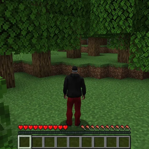 CJ in Minecraft mod artwork for Minecraft Java / GTA San Andreas
