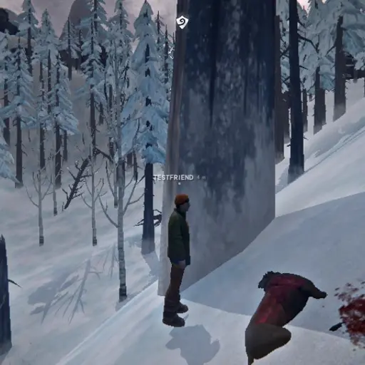 TLDCoop artwork for The Long Dark